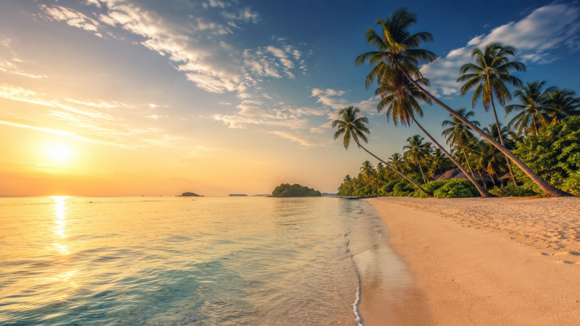 Palm-lined beach at golden hour — SeaWave curated journeys
