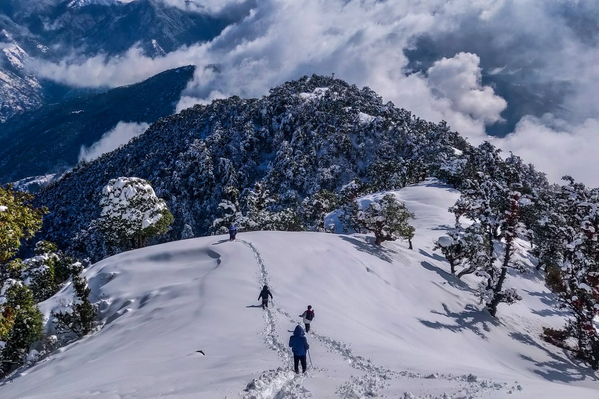 Shimla Manali Adventure