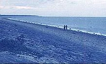 Chandipur Beach